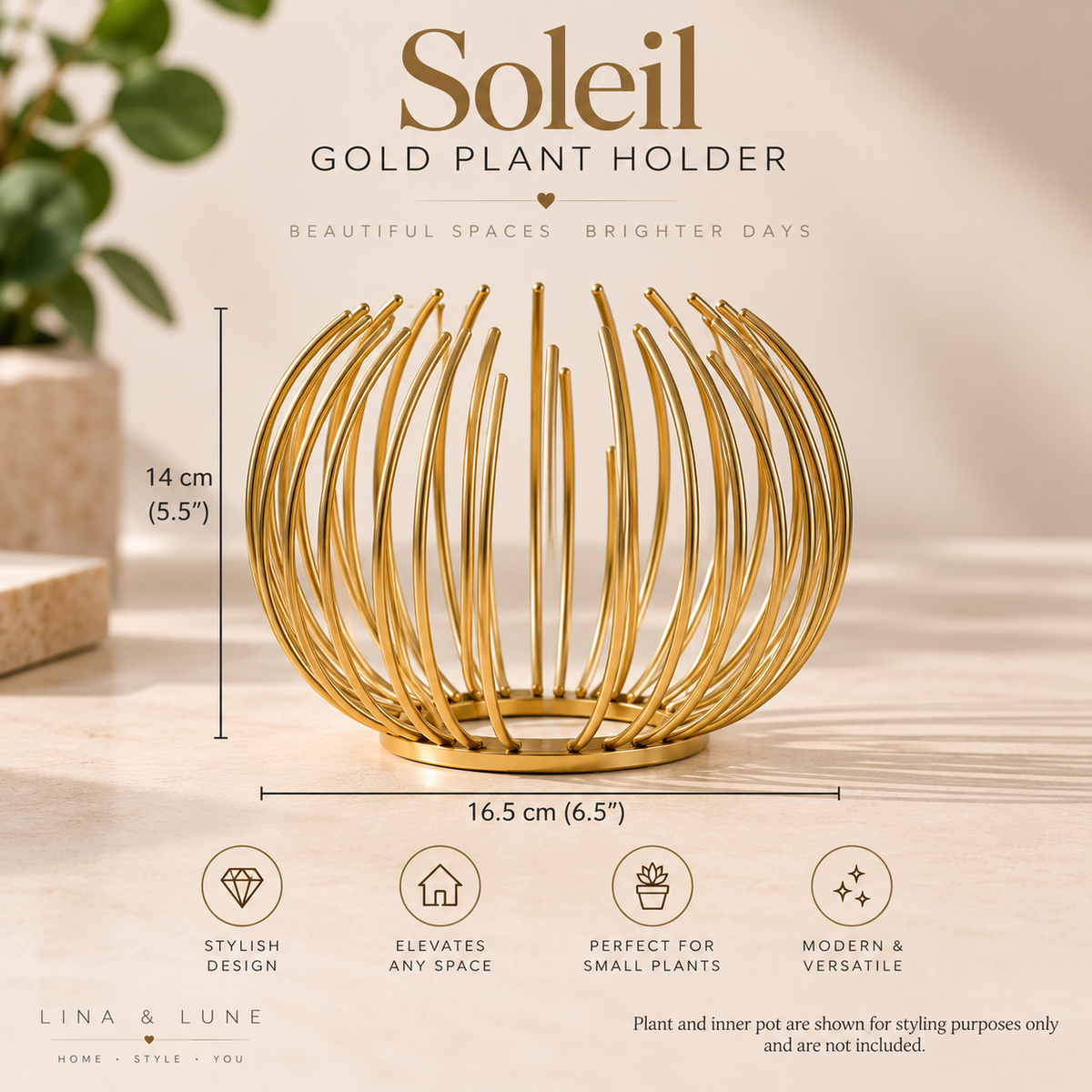 Soleil Gold Plant Holder